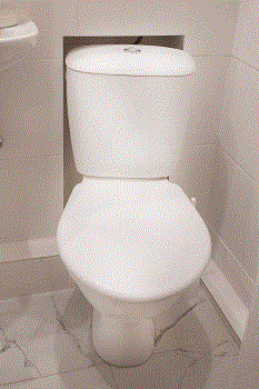 Suremontuotoje dušinėje