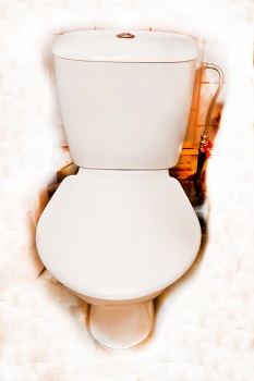 Jika Norma sename bute